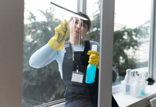 Nettoyage de vitres intérieures et extérieures à Saint-Aubin-le-Cauf